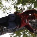 IMG_1398100