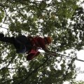 IMG_1398109