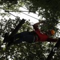 IMG_1398126
