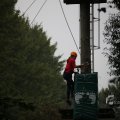 IMG_1398133
