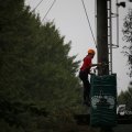 IMG_1398134