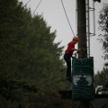 IMG_1398135