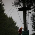 IMG_1398137