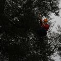IMG_1398161
