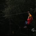 IMG_1398184