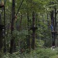 IMG_1398609