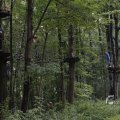 IMG_1398610