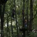 IMG_1398615
