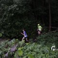 IMG_1397369