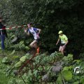 IMG_1397371