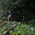 IMG_1397387