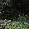 IMG_1397420