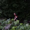 IMG_1397462