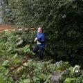 IMG_1397517