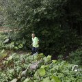 IMG_1397525
