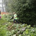 IMG_1397526