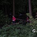 IMG_1397528