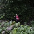 IMG_1397531