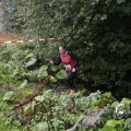 IMG_1397532