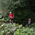 IMG_1397536