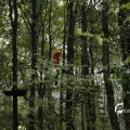 IMG_1397667