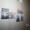 IMG_1400299