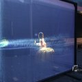 IMG_1400354