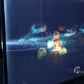 IMG_1400356