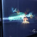 IMG_1400358