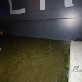 IMG_1400229