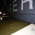 IMG_1400244