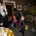 IMG_1401241