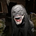 IMG_1401281