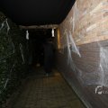 IMG_1401311