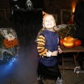 IMG_1401336