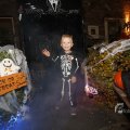 IMG_1401337