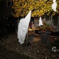 IMG_1400946