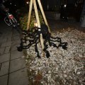 IMG_1400949