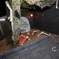 IMG_1401174