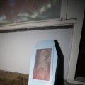 IMG_1401189
