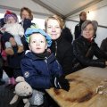 IMG_1406341