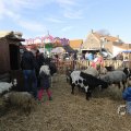 IMG_1406606