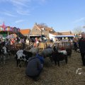 IMG_1406607