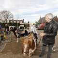 IMG_1406858