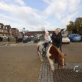 IMG_1406859