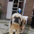 IMG_1407543