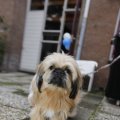 IMG_1407544
