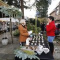 IMG_1407545
