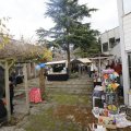 IMG_1407567