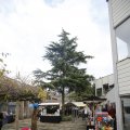 IMG_1407568